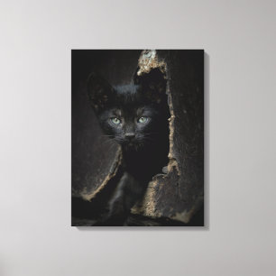 Little Black Kattunge Canvastryck
