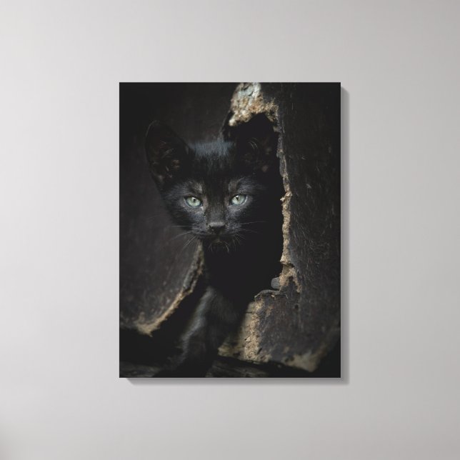 Little Black Kattunge Canvastryck (Framsida)
