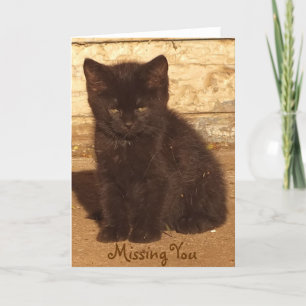 Little Black Kitten Saknade ditt kort *Anpassade