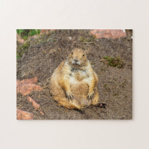 Little Black-Tailed Prairie Hund Jigszle puzzle Pussel