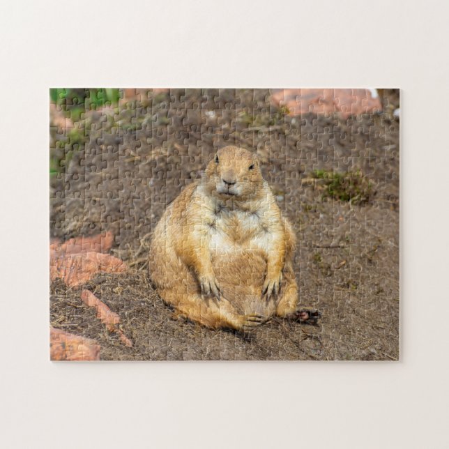 Little Black-Tailed Prairie Hund Jigszle puzzle Pussel (Horisontell)