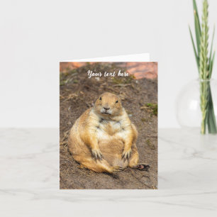 Little Black-Tails Prairie Hund Tack Kort