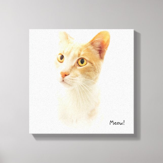 Little Blondie Cat Wonding Canvastryck (Framsida)