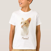 Little Blondie Cat Wonding