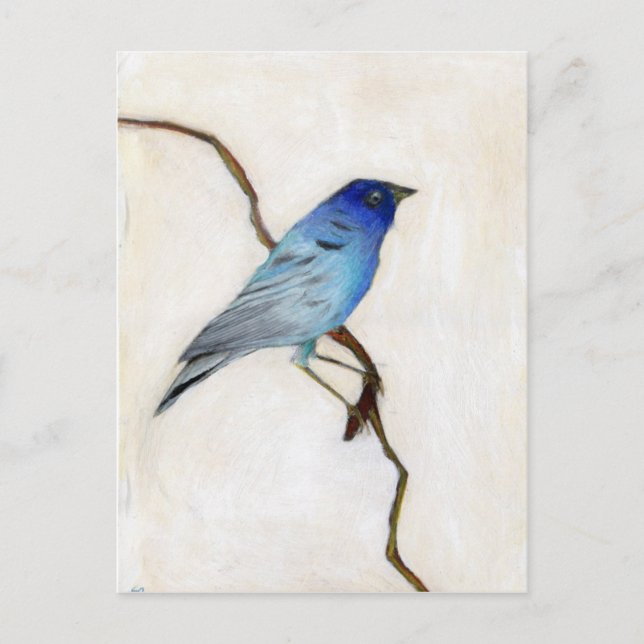 Little Blue 2012 Vykort (Framsida)