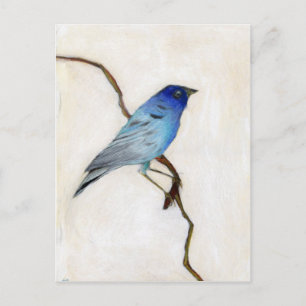 Little Blue 2012 Vykort