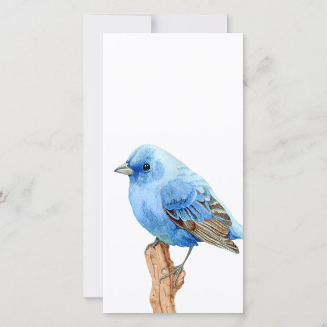 Little Blue Bird (Framsida)