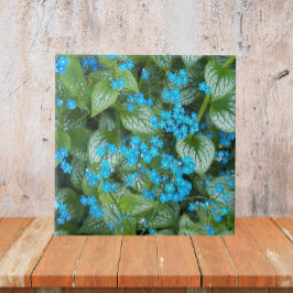 Little Blue Brunnera Flowers Blommigt Kakelplatta