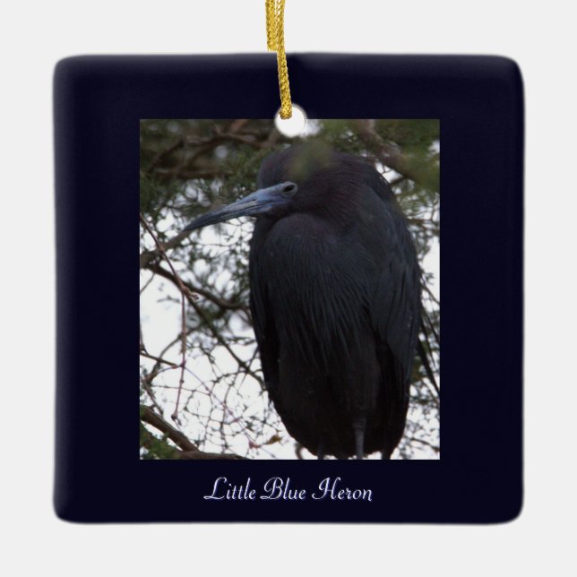 Little Blue Heron Bird Ornament (Framsida)