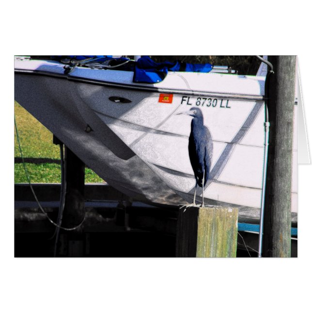 Little Blue Heron Hälsningskort (Framsidan Horizontal)