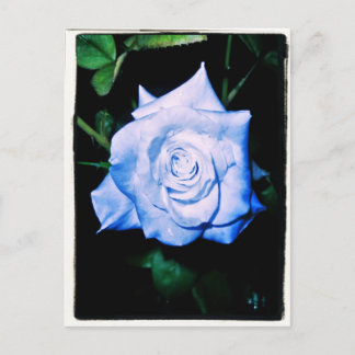 Little Blue Princess Vykort