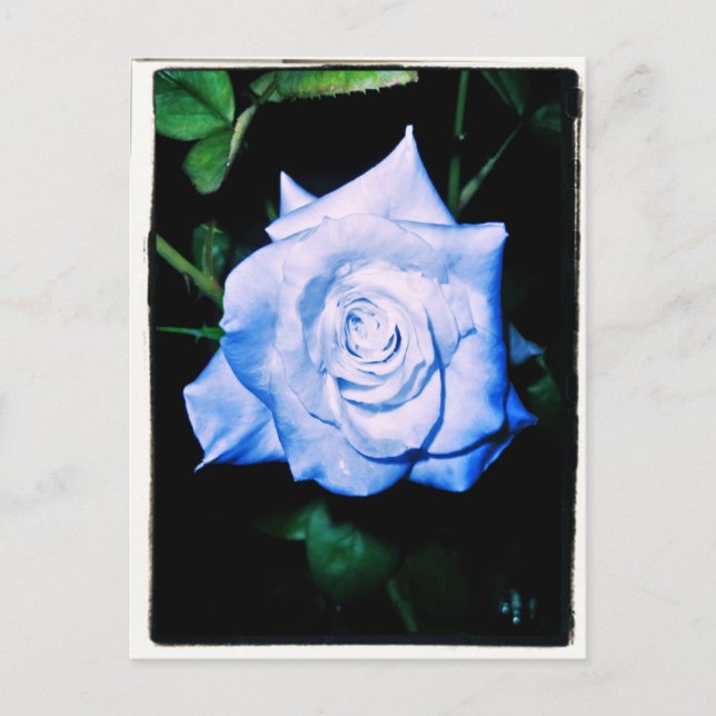 Little Blue Princess Vykort (Framsida)