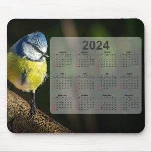 Little Blue Tit Bird 2024 Calendar Musmatta