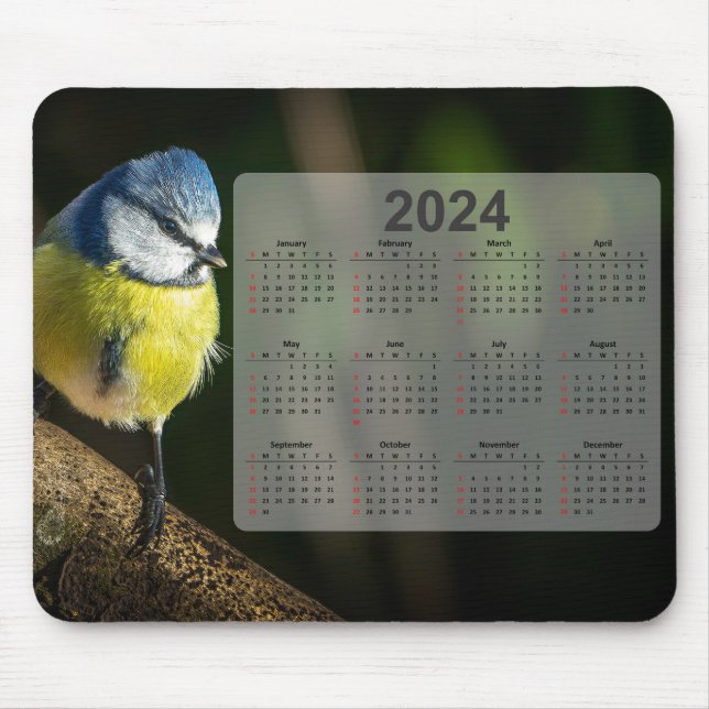 Little Blue Tit Bird 2024 Calendar Musmatta (Framsidan)