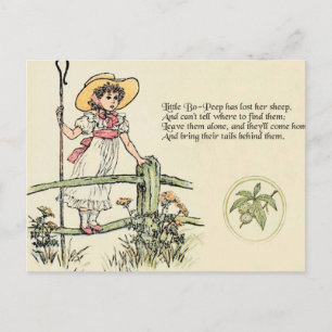 Little Bo Peep Nursery Rhyme Vykort