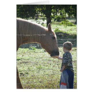 Little Boy Matande Horse Hälsningskort