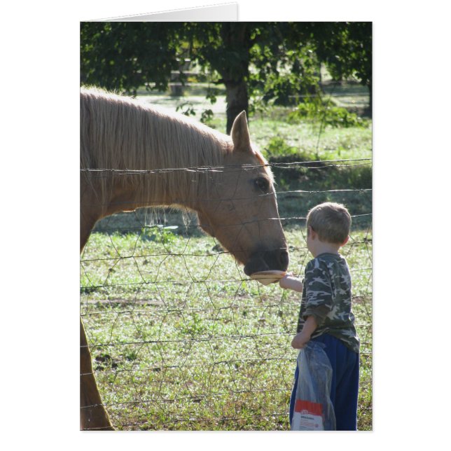 Little Boy Matande Horse Hälsningskort (Framsidan)