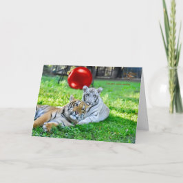 Little Boys jul Helgkort