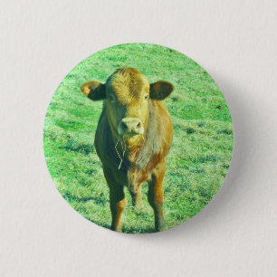 Little Brown Cow in Pastel Grönt Grass Knapp