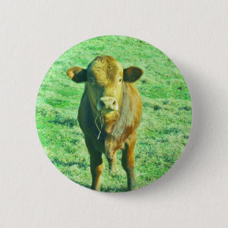 Little Brown Cow in Pastel Grönt Grass Knapp