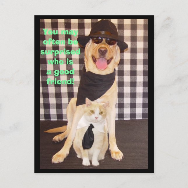 Little Buddy Vykort (Framsida)