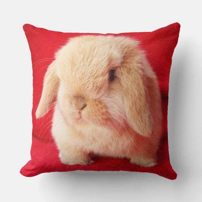 Little Bunny Pillow Kudde (Framsida)