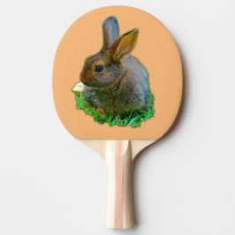 Little Bunny Pingisracket