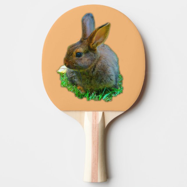Little Bunny Pingisracket (Framsidan)