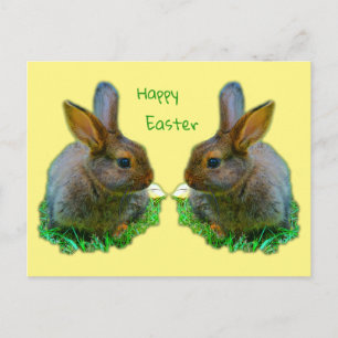 Little Bunny Vykort
