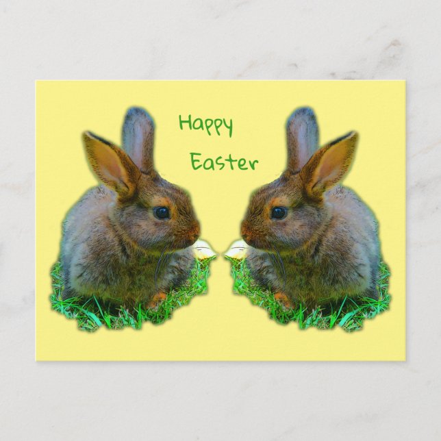 Little Bunny Vykort (Framsida)