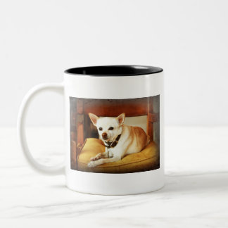 Little but Mighty Mia Mugg