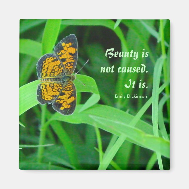 Little Butterfly Magnet (Framsidan)