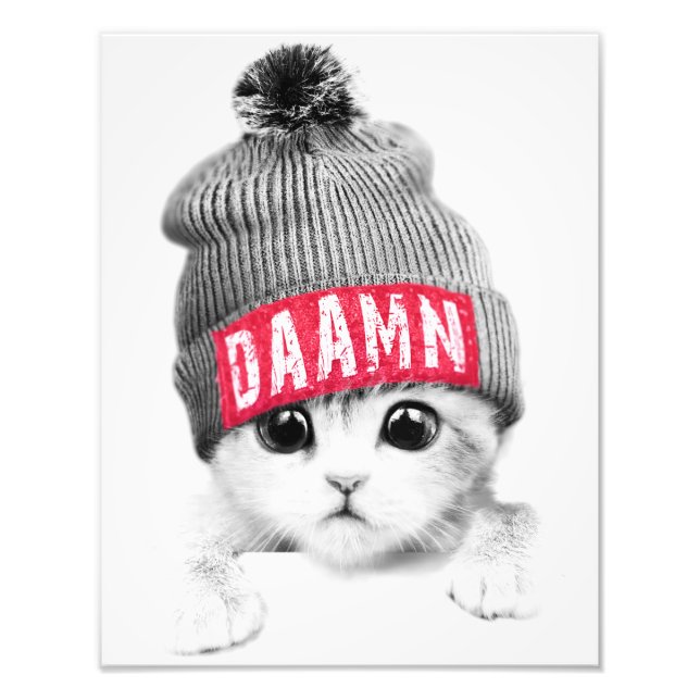 Little Cat Fototryck (Framsidan)