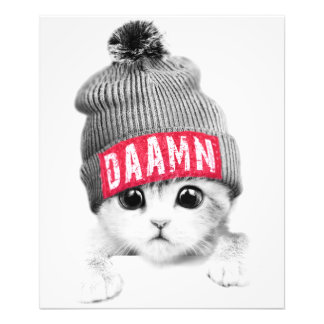 Little Cat Fototryck