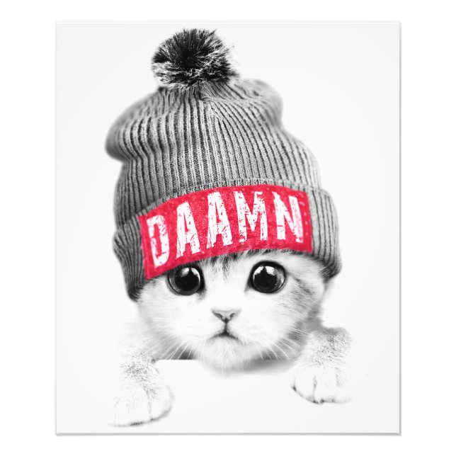 Little Cat Fototryck (Framsidan)