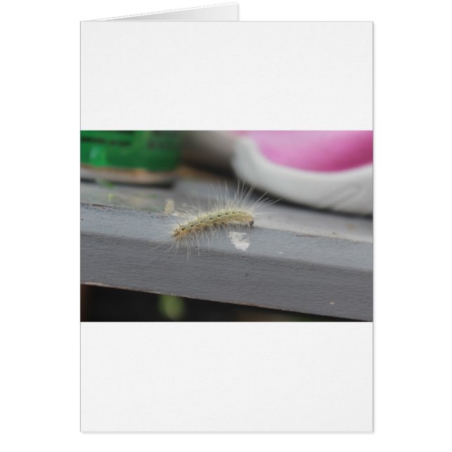 Little Caterkvar Hälsningskort (Framsidan)