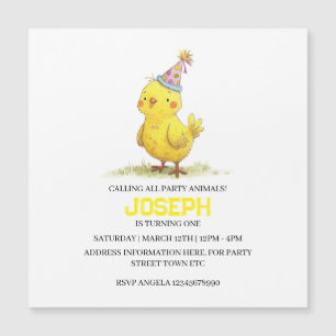 Little Chick Farm Birthday Chicken