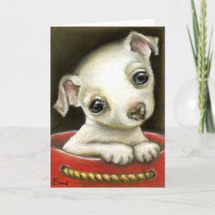 Little Chihuahua Kort