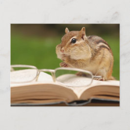 Little Chipmunk Reading Postcard Vykort