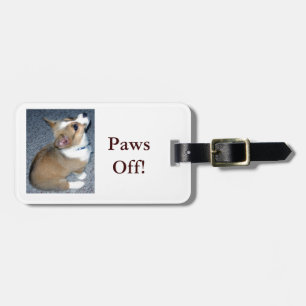 Little Corgi Puppy Hund Gear Bagagebricka