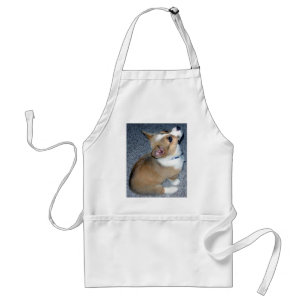 Little Corgi Puppy Hund Gear Förkläde