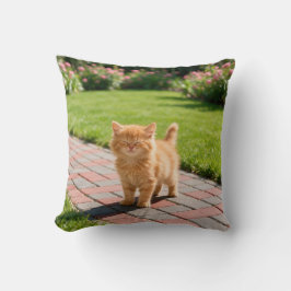 Little cute orange cat kudde