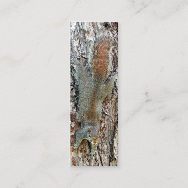 Little Cute Squirrel Mini Visitkort (Framsida)
