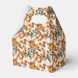 Little Cutie Orange Citrus 1st Birthday Presentaskar