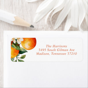 Little Cutie Orange Clementine Baby Shower Adress Returadress Etikett