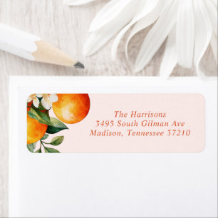 Little Cutie Orange Clementine Baby Shower Adress Returadress Etikett