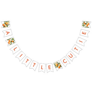 Little Cutie Orange Clementine Baby Shower Vimplar