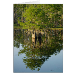 Little Cypress 1 OBS Kort