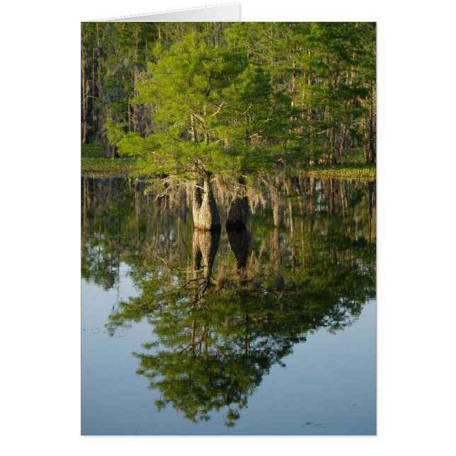 Little Cypress 1 OBS Kort (Framsidan)