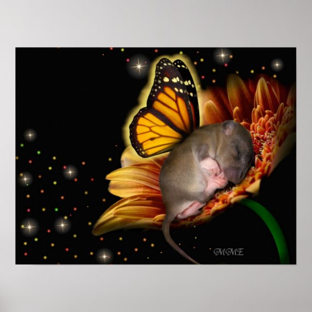 Little Daisy Dreamer Poster (Framsidan)